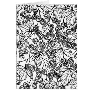 Raspberries hand drawn pattern