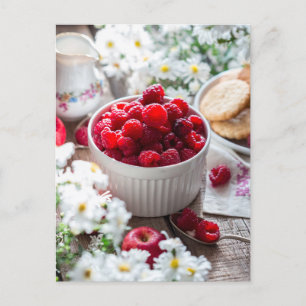 Raspberries Summer Photo Postcard