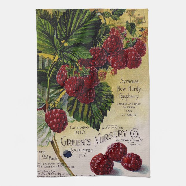 Raspberries Vintage Nursery Catalog Kitchen Towel (Vertical)