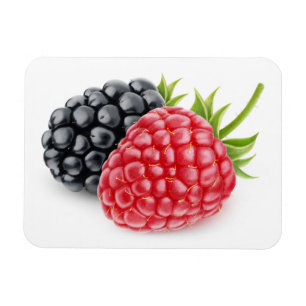 Raspberry and blackberry magnet