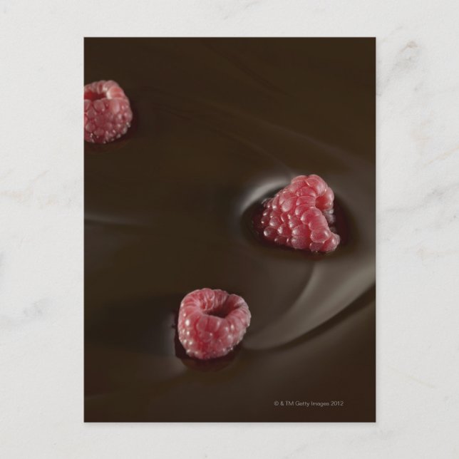 raspberry chocolate postcard (Front)