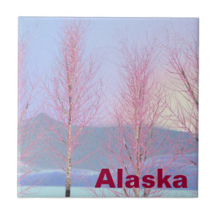 Raspberry Creme Birch Tile