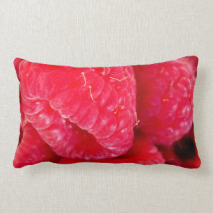 Raspberry Delight Lumbar Pillow