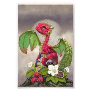 Raspberry Dragon 4x6 Print