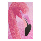 Raspberry le Flamant rose - par Just Dahl Poster
