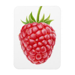 Raspberry Magnet