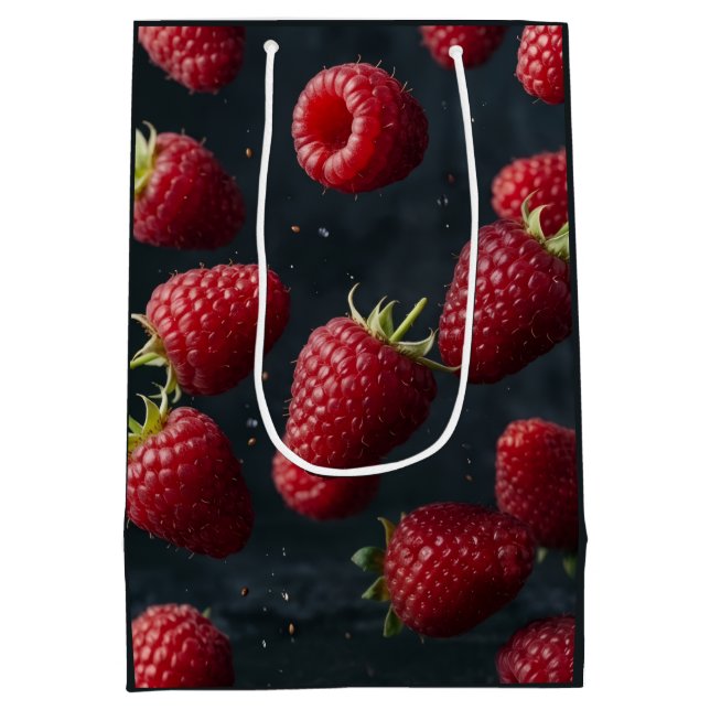 raspberry medium gift bag (Back)