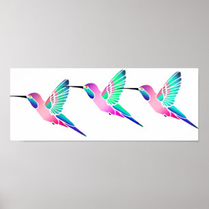 Raspberry Mint Sorbet Hummingbirds Poster