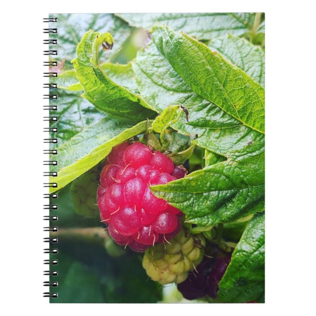 Raspberry Notebook (Front)