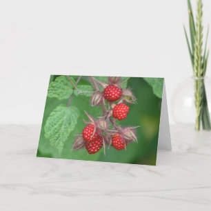 Raspberry Notecard