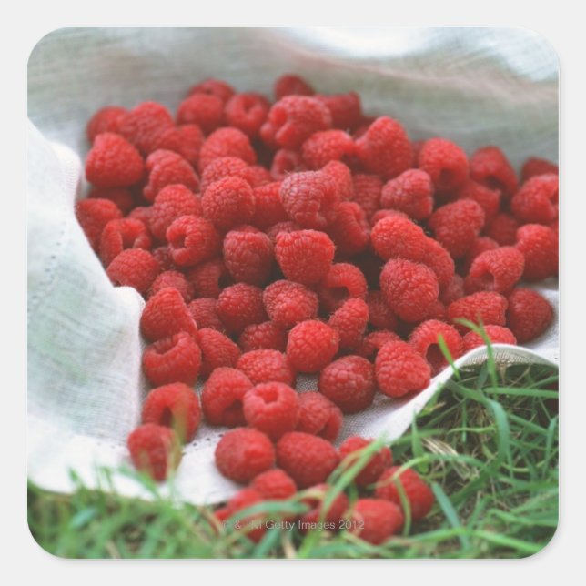 Raspberry Square Sticker (Front)