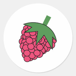 raspberry sticker