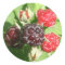 Raspberry Stickers