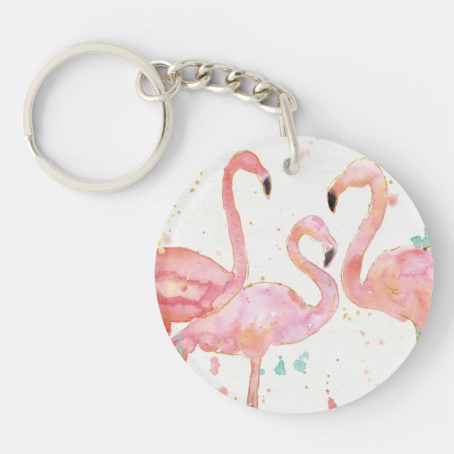 Rassemblement tropical de | des Flamants roses (Devant)