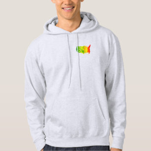 RASTA AMERICAN LION HOODIE