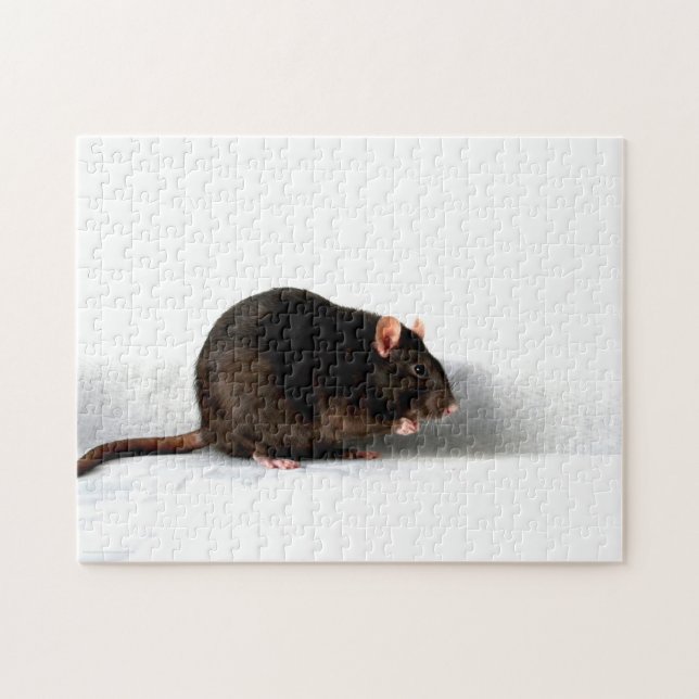 Rat 11x14 252pc jpcna jigsaw puzzle (Horizontal)