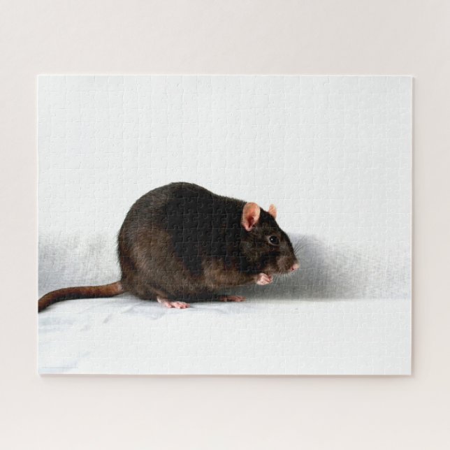 Rat 16x20 520pc jpcna jigsaw puzzle (Horizontal)