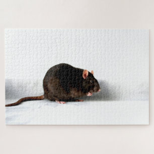Rat 20x30 1014pc jpa jigsaw puzzle