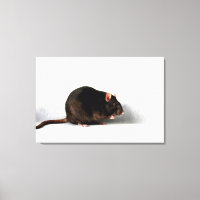 Rat 36x24 (90x60cm) waccna