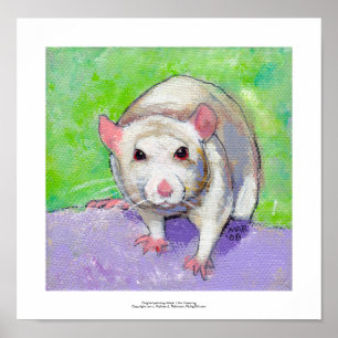 Rat art cute pet fun painting friendly white rats poster