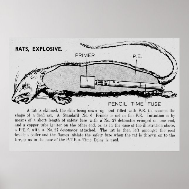 Rat Bomb, Descriptive catalog of Special Devices Poster (Front)