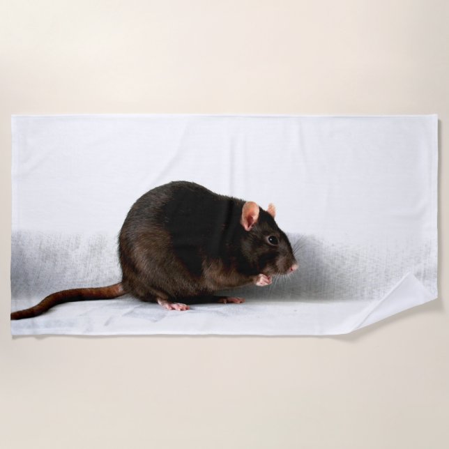 Rat btcnm beach towel (Front)