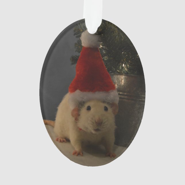 Rat d'abruti du père noël (dos)