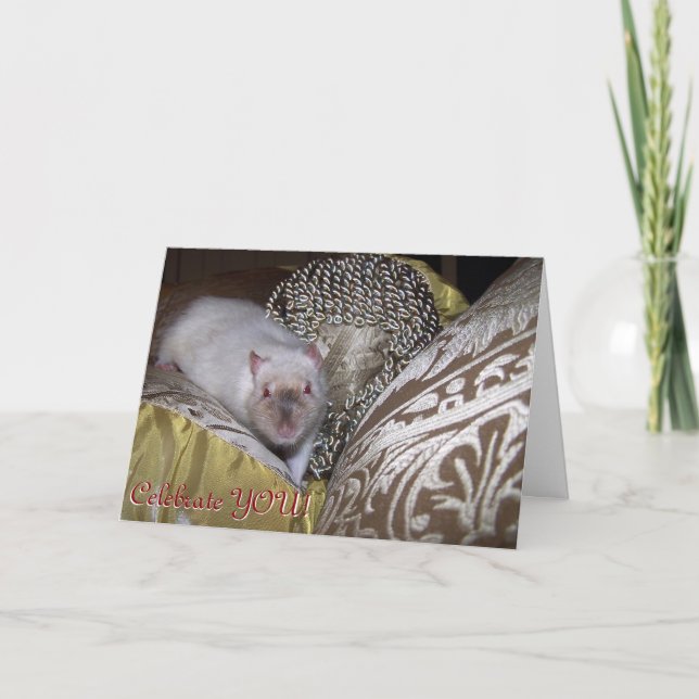 Rat d'animal familier, carte d'anniversaire de (Devant)