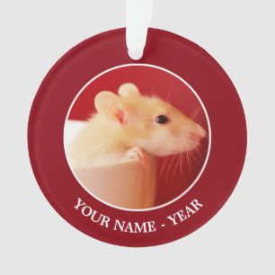 Rat de bébé