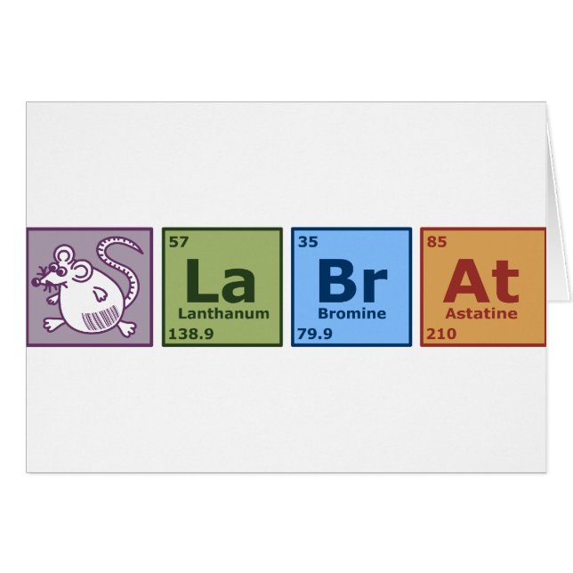 Rat de laboratoire (Devant horizontal)