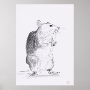 Rat Dessin Original Poster 24x36