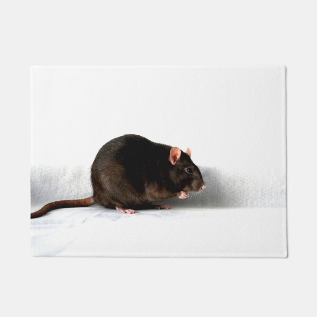 Rat dmcnm doormat (Front)