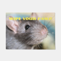 Rat