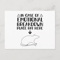 Rat Emotional Breakdown | Rats Pets Gifts
