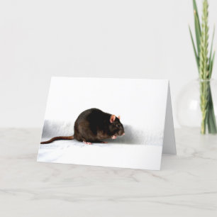 Rat gcm card
