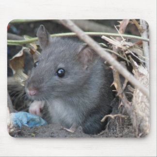Rat in a hole Mousepad