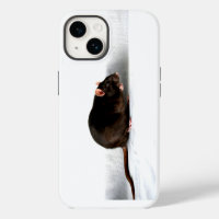 Rat iphcnm
