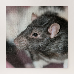 Rat Jigsaw Puzzle