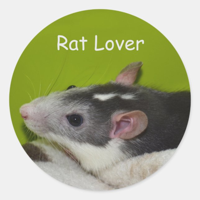 Rat Lover Stickers (Front)