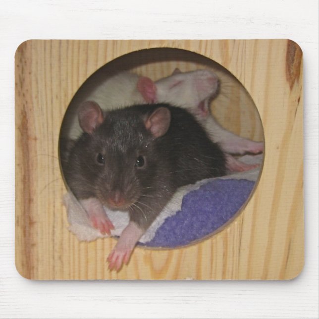 Rat Mousepad (Front)