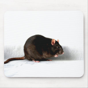 Rat mpcna mouse pad