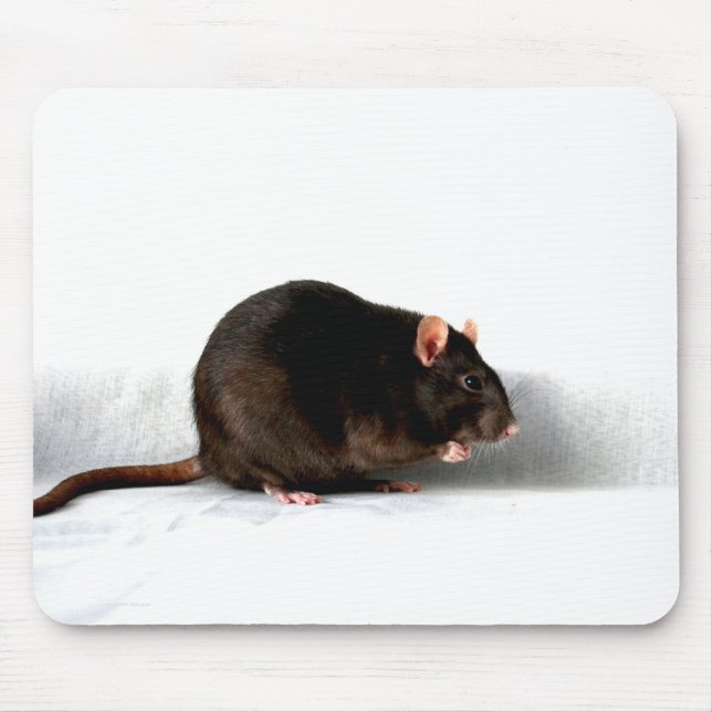 Rat mpcna mouse pad (Front)