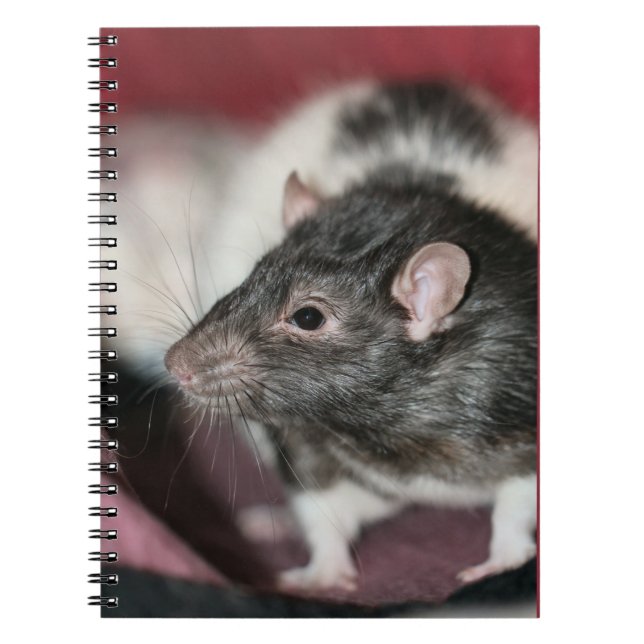 Rat Notebook (Front)