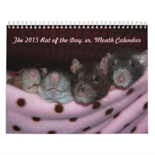 Rat of the Day, er, Month Calendar