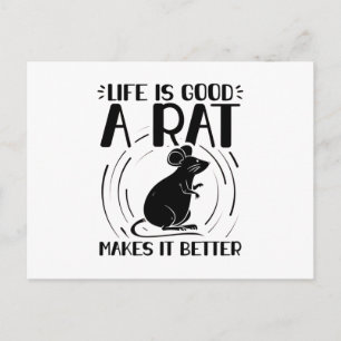 Rat Pet Rodent Rats Animals Gifts Postcard