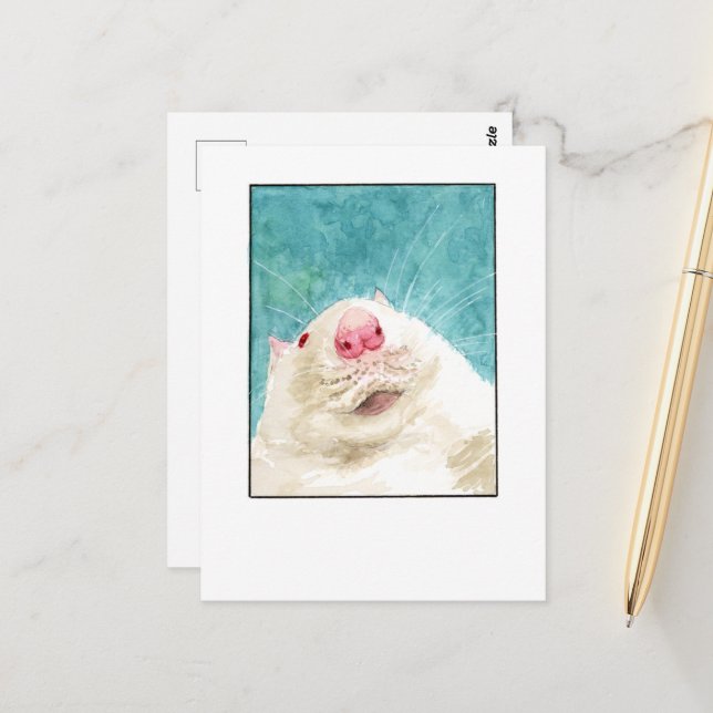 Rat Pet Selfie- DNM Postcards (Front/Back In Situ)