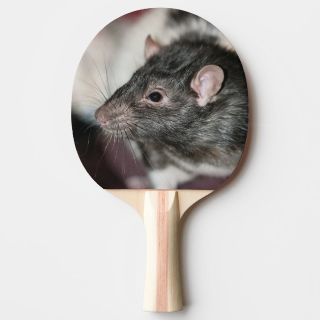 Rat Ping Pong Paddle (Front)