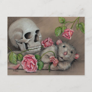 Rat Rose Skull Postcard drawing