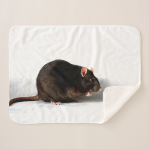 Rat sbcna sherpa blanket