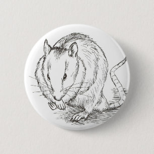 rat sketch 2 inch round button